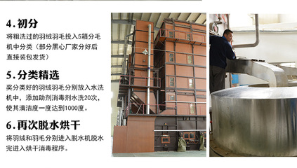 【羽絨羽毛水洗白鴨毛片 枕頭床墊填充原材料 2~4cm鴨毛片工廠批發(fā)】價格,廠家,圖片,羽毛、羽絨,安徽方翔羽絨制品-