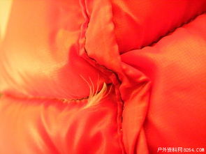 超輕面料羽絨制品鉆絨現象全解析 以事實說話，理性看待品質挑戰